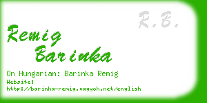remig barinka business card